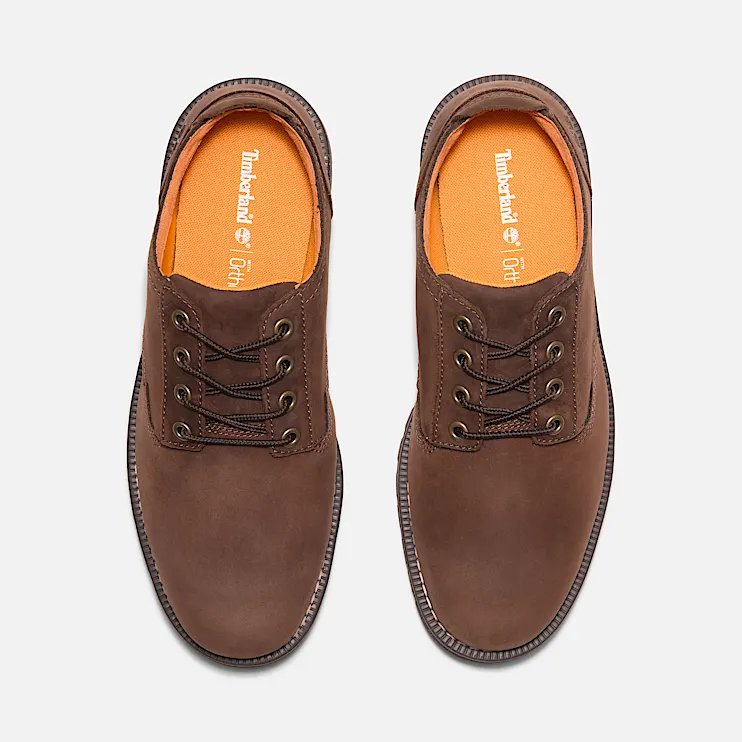 Mens Redwood Falls Waterproof Shoe TBL Dark Brown Nubuck ALT2